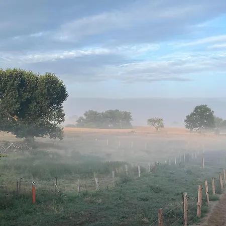 Weitraeumiges, Helles Mit Naturblick