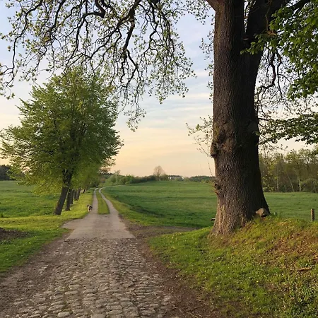 Apartman Weitraeumiges, Helles Mit Naturblick *